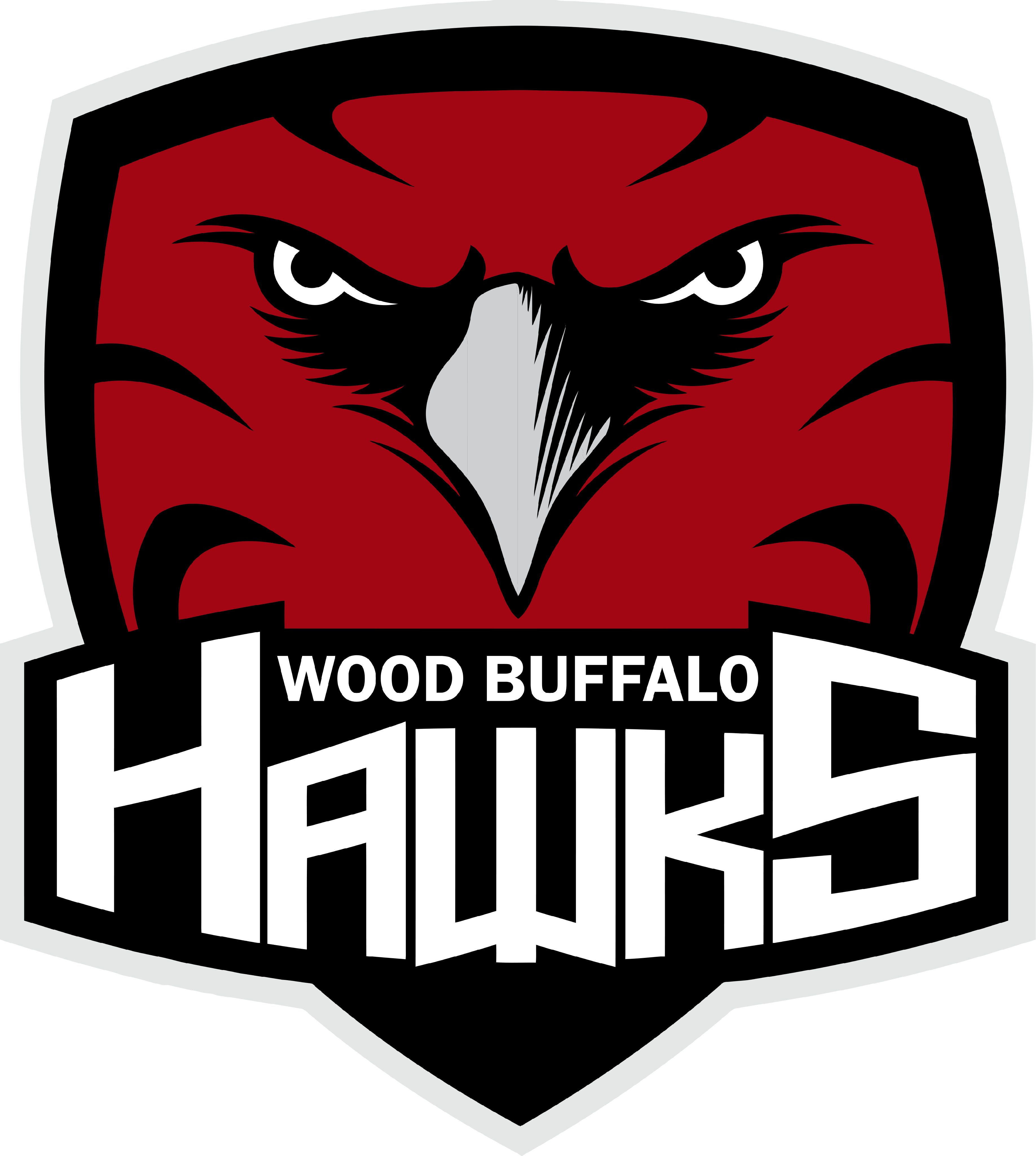 HAWKS (2)
