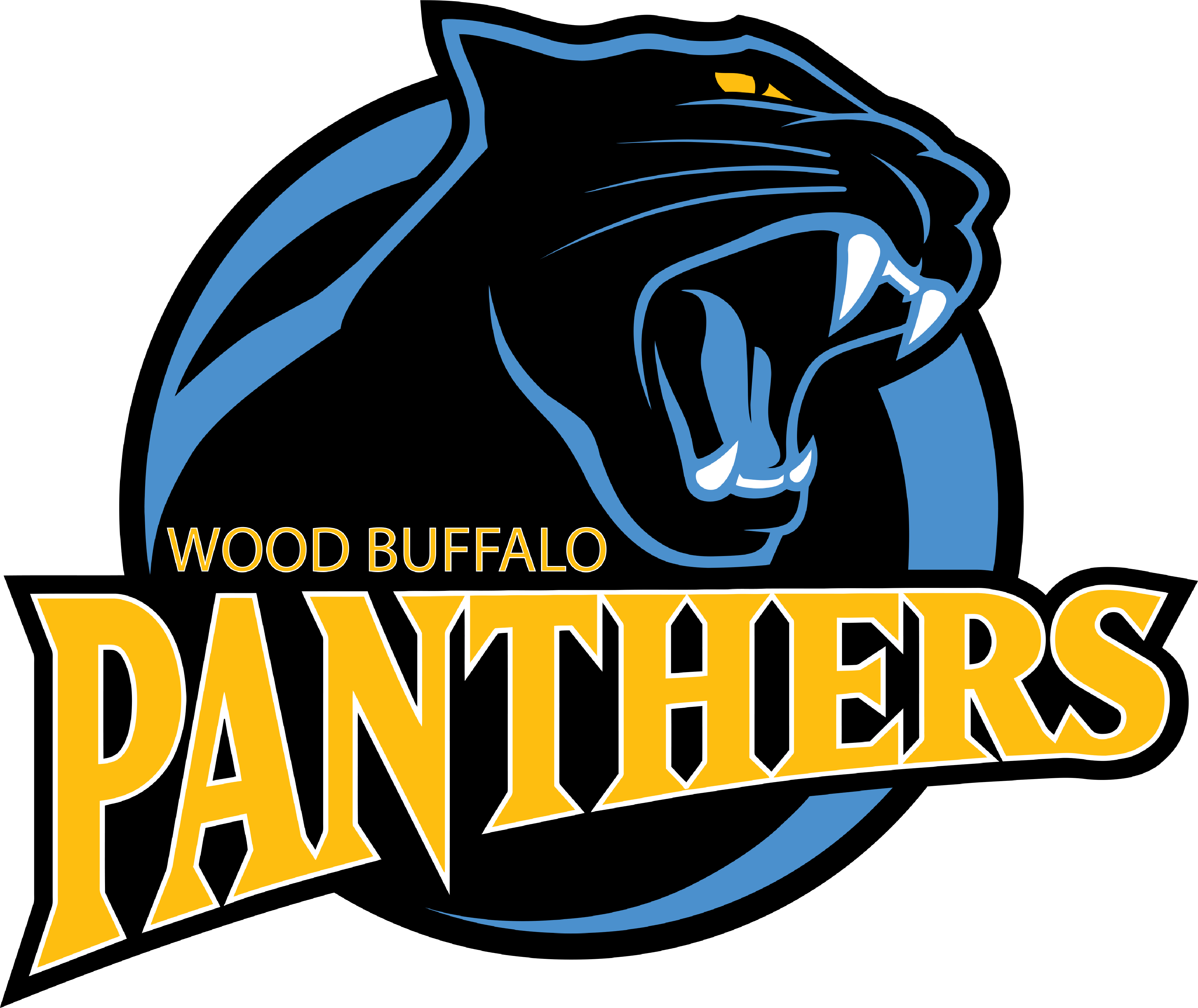 PANTHERS (2)